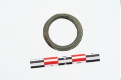 Foto von Bronzering (NHMW-PRAE-026638)